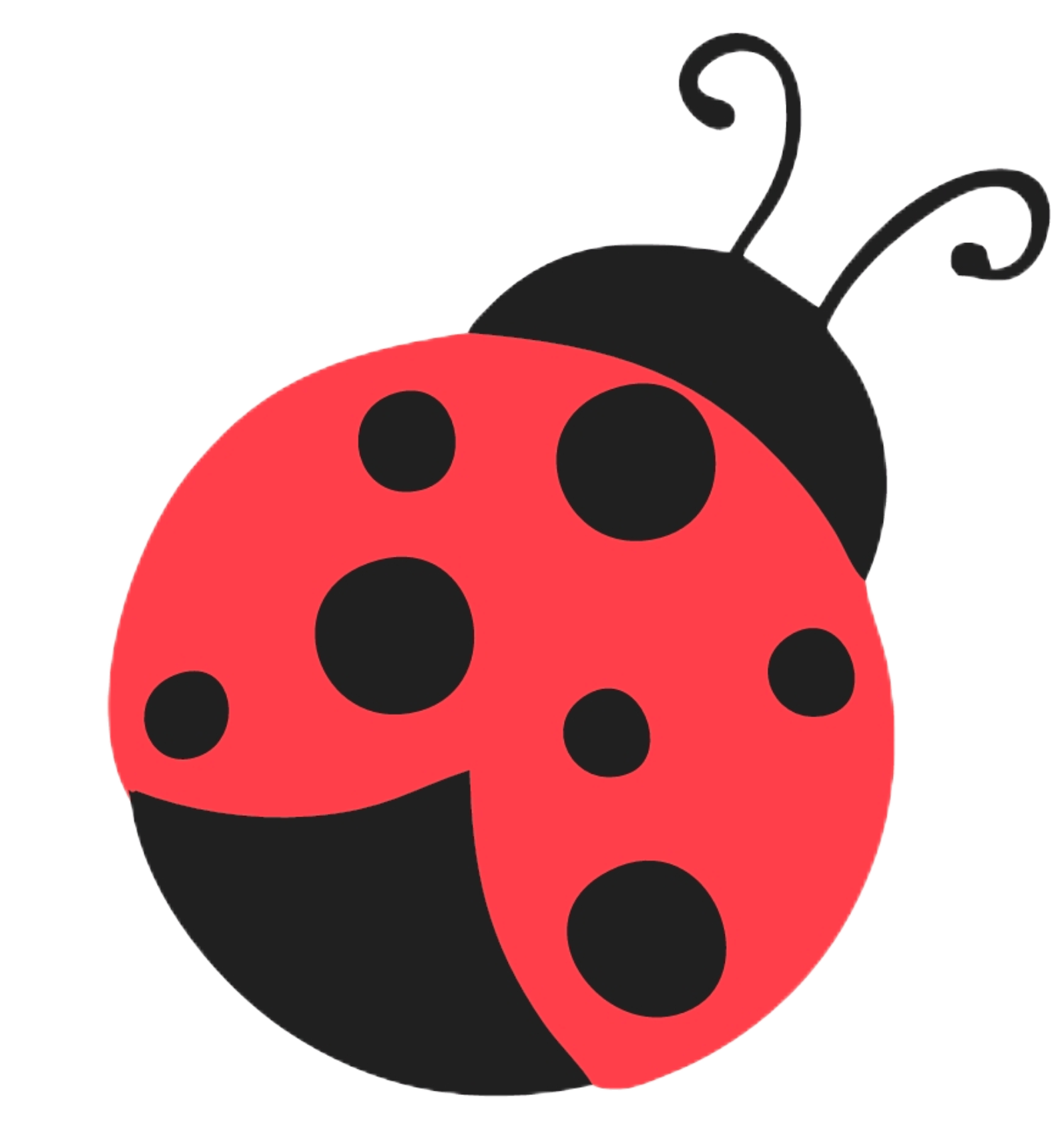 Ladybug