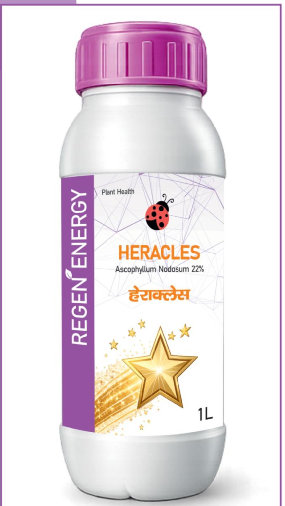 Heracles