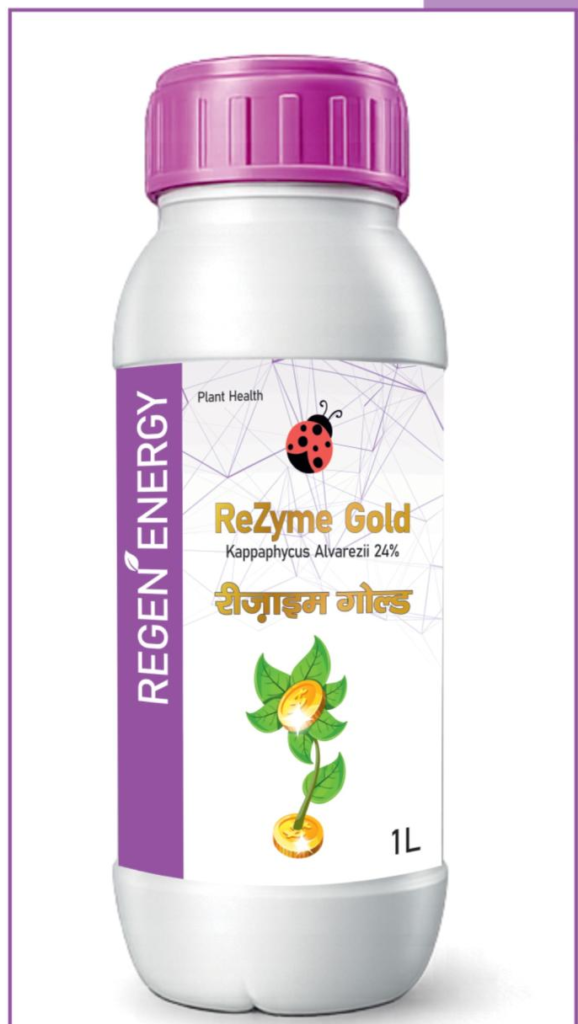 ReZyme Gold