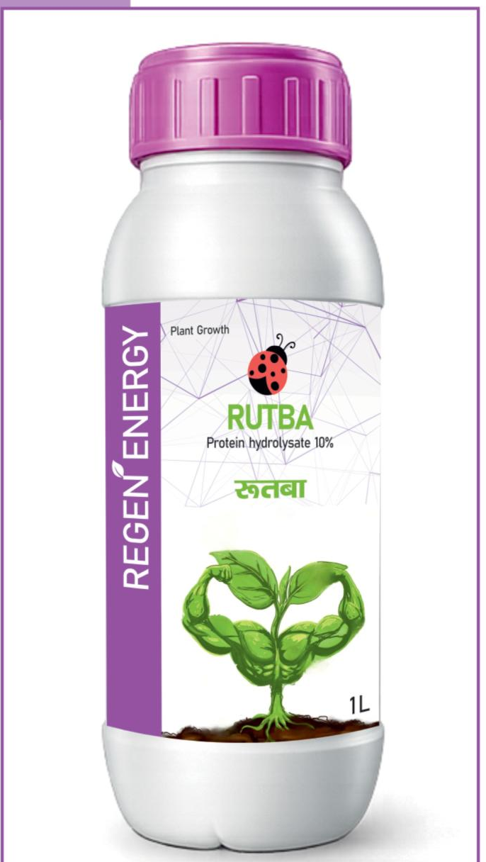 Rutba