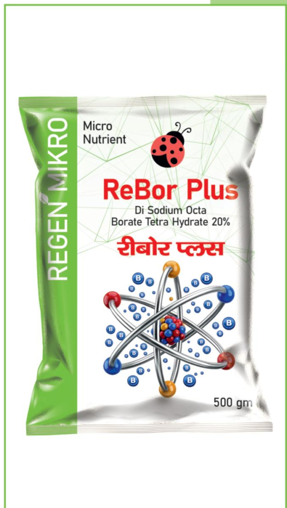 ReBor Plus