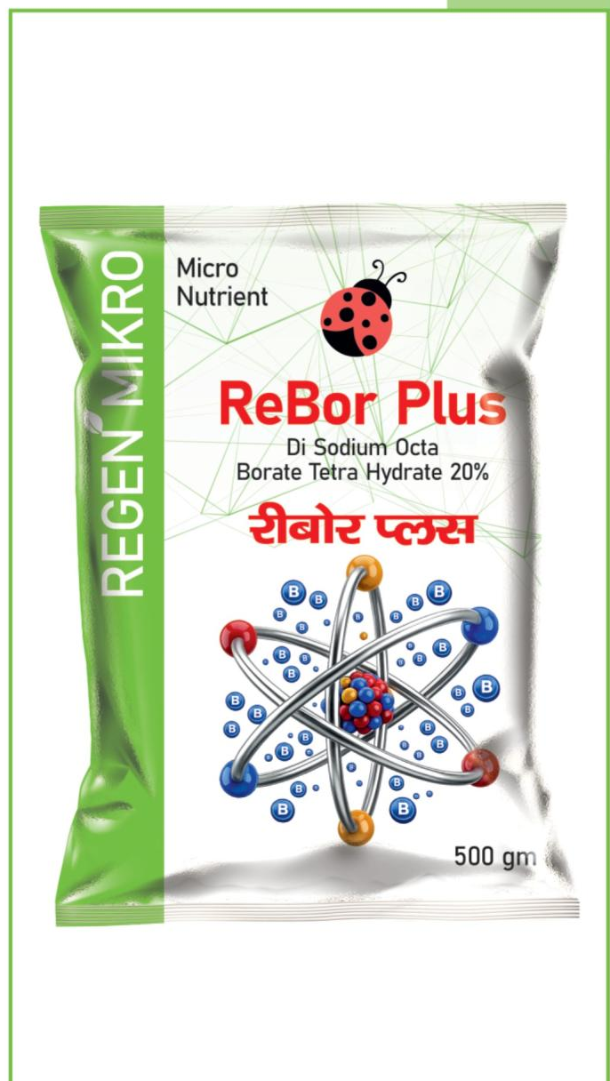 ReBor Plus